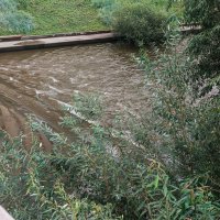 Безмятежность :: ura Зелев Безмятежность :: ura Зелев