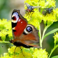 из сегодняшней съемки 3 :: Александр Прокудин из сегодняшней съемки 3 :: Александр Прокудин