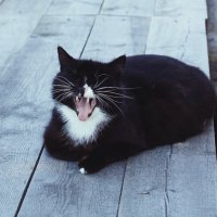 Устала! :: Наталья Герасимова