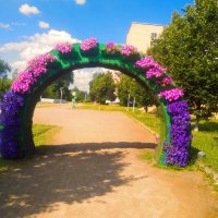 Цветочная арка :: Сергей Кочнев