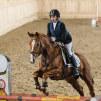 Конкур :: SanSan 