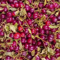 Урожай :: Валерий Иванович