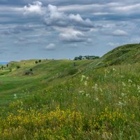 Окрестности :: Игорь Сикорский