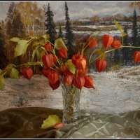 С физалисом :: Aleksandr Gal