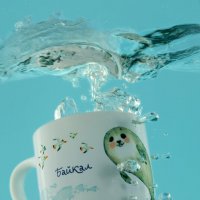 Байкальская нерпа 2 :: Denis Doroshenko