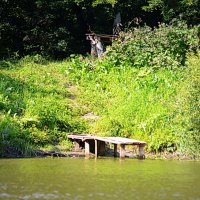 Где-то по реке Иня :: Татьяна Лютаева