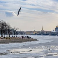 Санкт-Петербург :: Максим Сорокин