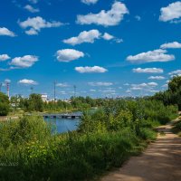 Природа на городском озере :: Александр Синдерёв