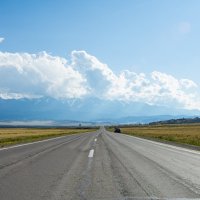 *** :: Николай Чекалин