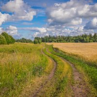 **** :: Елизавета . **** :: Елизавета .