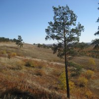 Осень :: Anna Ivanova