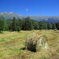 Сенококос ... :: Андрей Любимов Сенококос ... :: Андрей Любимов