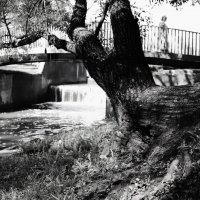 Переход через дамбу. :: Василий Палий