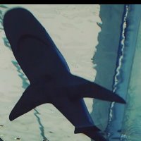 112 (116) :: СТРЕН 