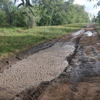 А дождь идёт :: Андрей Хлопонин