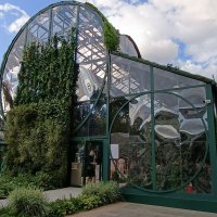 зелёный маркет :: Галина R...