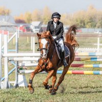 Конкур :: SanSan 