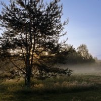 Рассвет :: Валерий Пославский