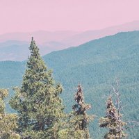 ЛЕ БО 5 (16) :: CLOSE WAYS ALL