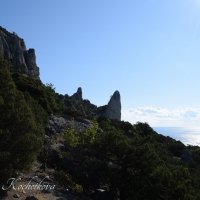Природа Крыма :: Amazing Cosmea Природа Крыма :: Amazing Cosmea