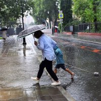 Пешеходы по лужам. :: Татьяна Помогалова Пешеходы по лужам. :: Татьяна Помогалова