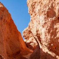 *** :: Николай Чекалин