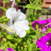 ,,, :: Сергей Тимоновский