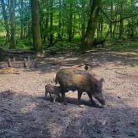 С мамой :: Андрей K.