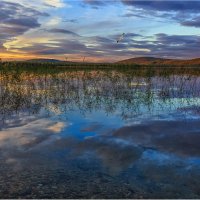 Камыши... :: Владимир Чикота Камыши... :: Владимир Чикота