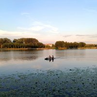 Июльским вечером на Ижоре :: Мария Васильева