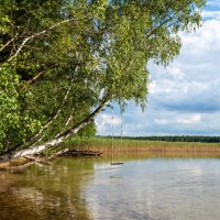 Белое озеро :: Александр Мезенцев Белое озеро :: Александр Мезенцев