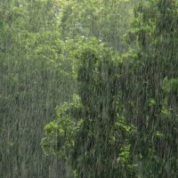 Весна с балкона... :: Syntaxist (Светлана) Весна с балкона... :: Syntaxist (Светлана)