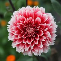 Последний день лета 2013 :: Андрей 