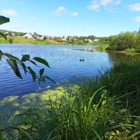В последний день июля. :: Алена