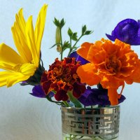 Краски лета. :: Владимир Безбородов