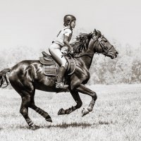 Кросс :: SanSan 