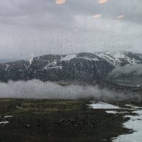 Вид на северное лето :: Ольга 