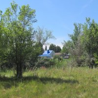 июль :: Елена Шаламова