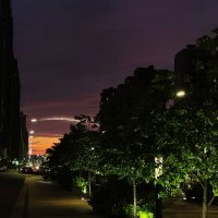 Летнее утро! :: Андрей 