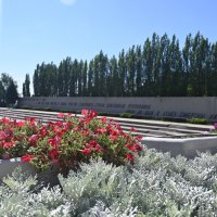 ... :: Митяй Митрич