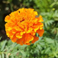 ,,, :: Сергей Тимоновский