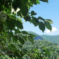 ГОРНЫЙ ПОСЕЛОК :: Tata Wolf