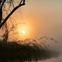 Туман  сизый над рекой тихо стелется... :: Надежда Куркина 
