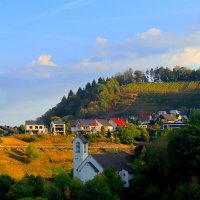 Из серии " Утро в деревне" :: Юрий. Шмаков