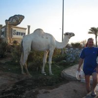 Egypt :: Андрей Л. В.