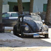 *** :: Марина Виноградова