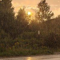 Дождь :: Андрей 