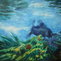 Морской Лев (бумага , акварель) :: Валерий Кокорев