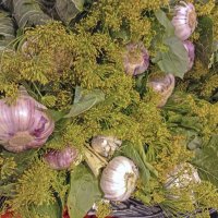 Для засолки огурцов и помидоров :: Валерий Иванович