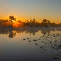 *** :: Виталий Емельянов